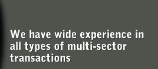 We have wide experience in all types of multi-sector transactions
